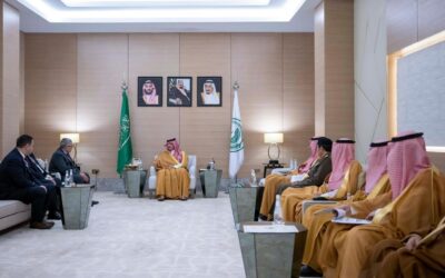 وزير الداخلية يستقبل رئيس مكتب شؤون حجاج مصر