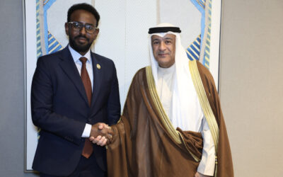 “البديوي” يلتقي وزير الأشغال العامة وإعادة الإعمار والإسكان بالصومال