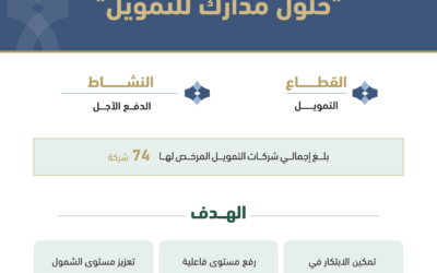 البنك المركزي يرخص لشركة تمويل في مزاولة نشاط الدفع الآجل