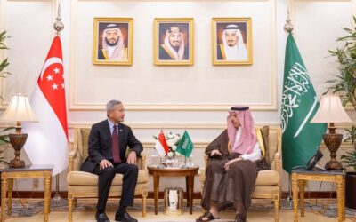 وزير الخارجية ونظيره السنغافوري يبحثان حماية الممرات المائية واستقرار المنطقة