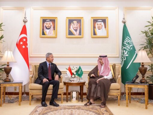 وزير الخارجية ونظيره السنغافوري يبحثان حماية الممرات المائية واستقرار المنطقة
