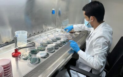 مختبر أسماك جدة يفحص 686 عينة ويُصدر 66 شهادة صحية لتصدير منتجات سمكية