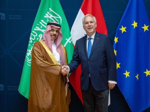 وزير الخارجية يلتقي رئيس البرلمان النمساوي في فيينا