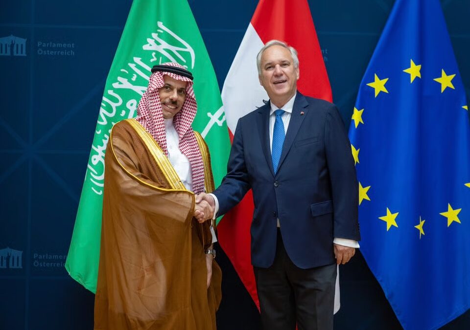 وزير الخارجية يلتقي رئيس البرلمان النمساوي في فيينا