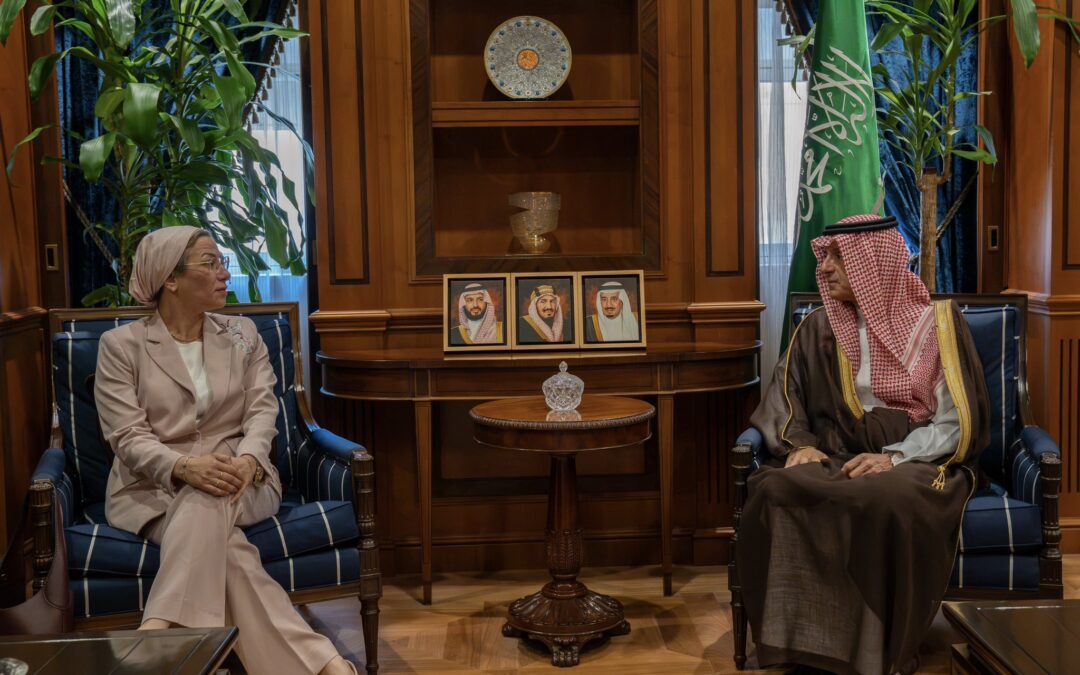 وزير الدولة للشؤون الخارجية يستقبل الأمينة التنفيذية لاتفاقية الأمم المتحدة لمكافحة التصحر