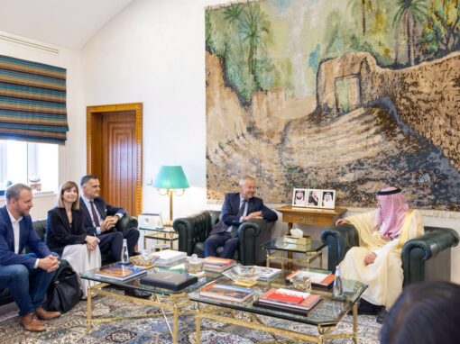 الخريجي يستقبل رئيس وفد العلاقات مع شبه الجزيرة العربية في البرلمان الأوروبي