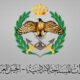 الأردن يحيّد خمس مسيرات إيرانية