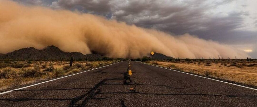 المملكة تسجل أدنى معدل تاريخي للعواصف الغبارية منذ 25 عاماً