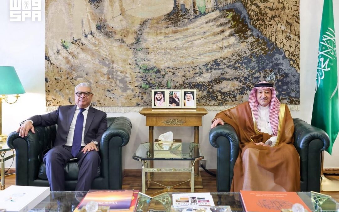 الخريجي يستقبل سفير مصر