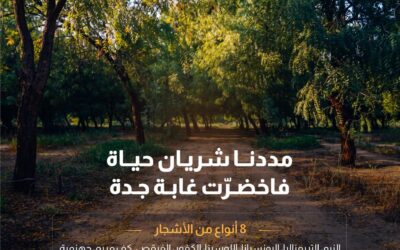 “المياه الوطنية” تنتهي من تنفيذ مشروع محطة الضخ الرئيسية والخط الناقل للمياه المعالجة في الغابة الشرقية بجدة