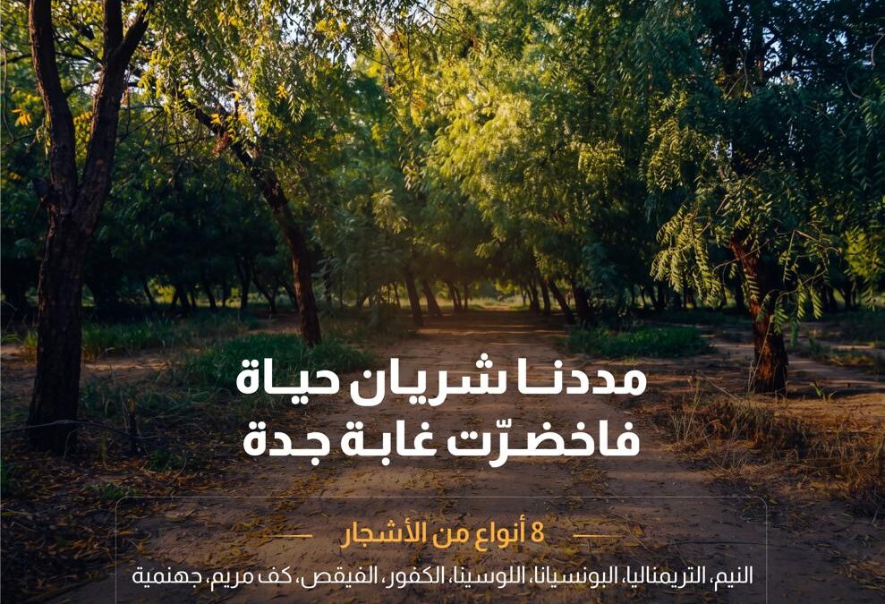 “المياه الوطنية” تنتهي من تنفيذ مشروع محطة الضخ الرئيسية والخط الناقل للمياه المعالجة في الغابة الشرقية بجدة