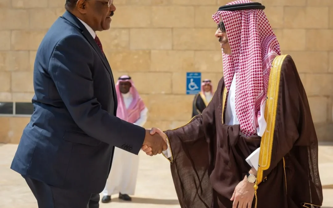 وزير خارجية يستقبل نظيره السوداني ويترأسان اجتماع لجنة المتابعة السياسية