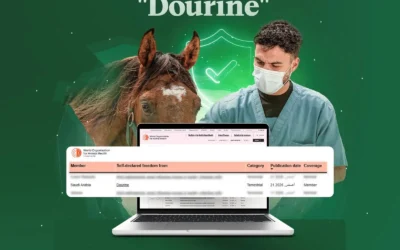 المملكة خالية رسميًا من «الدورين».. اعتراف دولي يعزز مكانتها في صحة الخيول