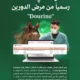 المملكة خالية رسميًا من «الدورين».. اعتراف دولي يعزز مكانتها في صحة الخيول