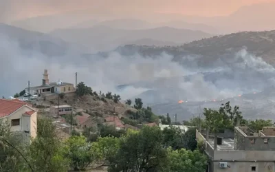 حرائق الجزائر تصل قلب العاصمة وحصيلة الضحايا ترتفع إلى 12 قتيلاً