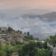 حرائق الجزائر تصل قلب العاصمة وحصيلة الضحايا ترتفع إلى 12 قتيلاً