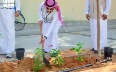 أمانة تبوك تُشجّر 4630 شجرة وتصون 3 ملايين متر مربع من المسطحات الخضراء