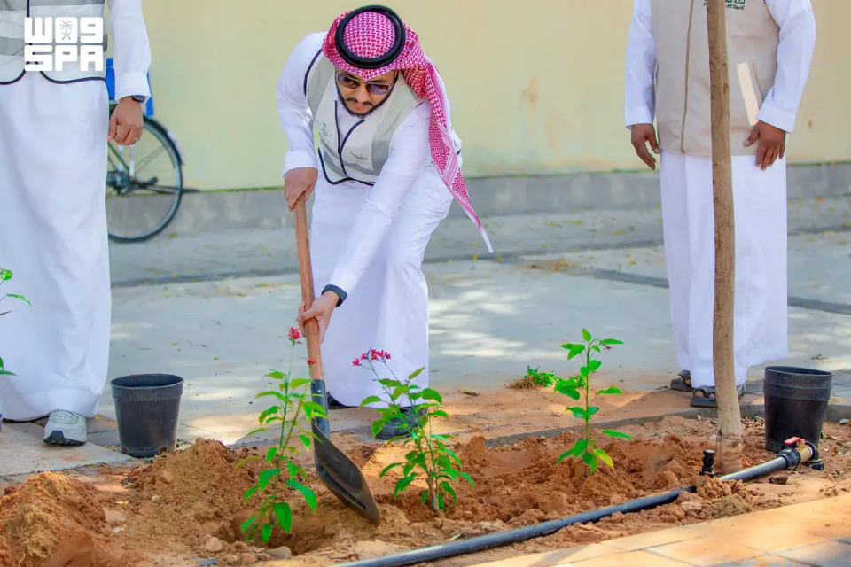 أمانة تبوك تُشجّر 4630 شجرة وتصون 3 ملايين متر مربع من المسطحات الخضراء