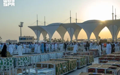 القصيم تنتج أكثر من 584 ألف طن من التمور من نحو 10.8 مليون نخلة