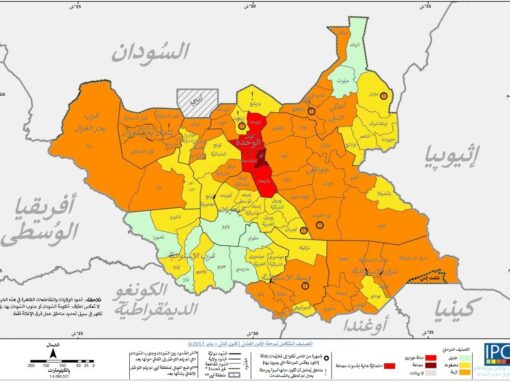 مقتل 60 شخصا في صراع على الماشية جنوب السودان