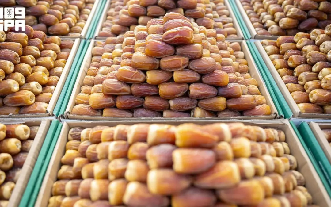 «المناصيف» تُطل على أسواق التمور السعودية بمذاق موسمي فريد